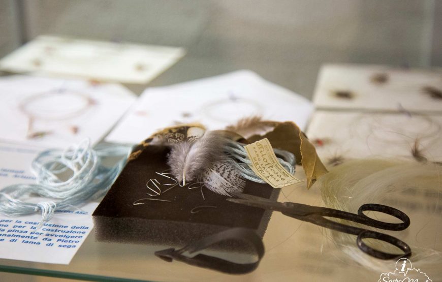 5 Musei: perle di cultura