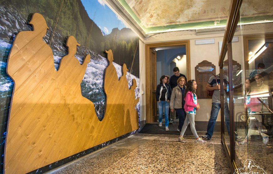 5 Musei: perle di cultura