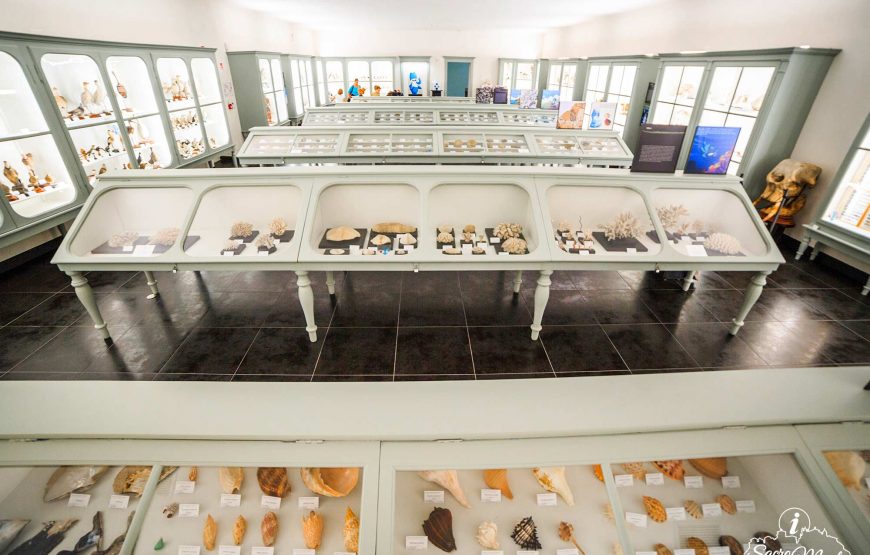 5 Musei: perle di cultura