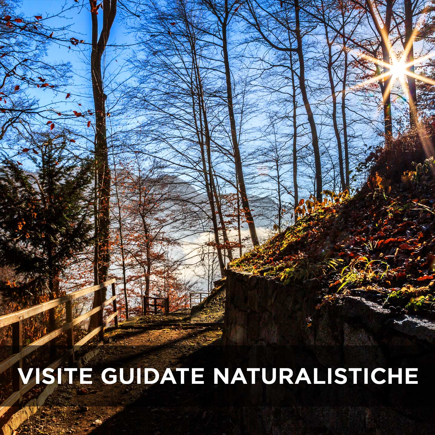 Sacro Monte di Varallo, visite naturalistiche